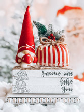 Load image into Gallery viewer, Stamped Book Stack - gnome one like you